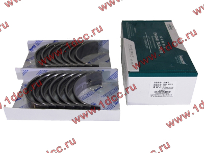 Вкладыши коренные WD618 (комплект) SH SHAANXI / Shacman (ШАНКСИ / Шакман) 61800010128/132 фото 1 Воронеж