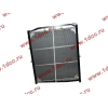 Радиатор WP10 SH SHAANXI / Shacman (ШАНКСИ / Шакман) DZ9112539268 фото 2 Воронеж