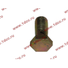 Болт пустотелый М12х1,25 (штуцер топливный) H HOWO (ХОВО) 90003962607 фото 3 Воронеж
